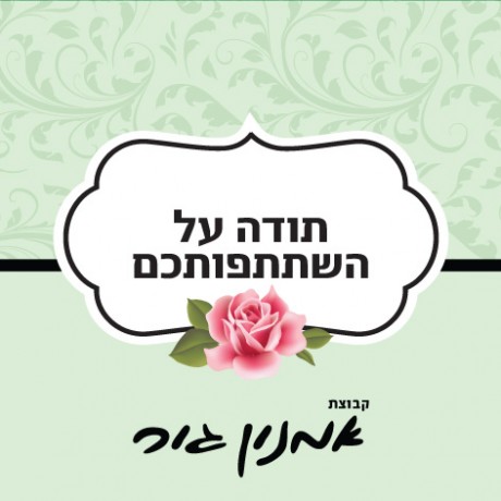 עיטורים ירקרק